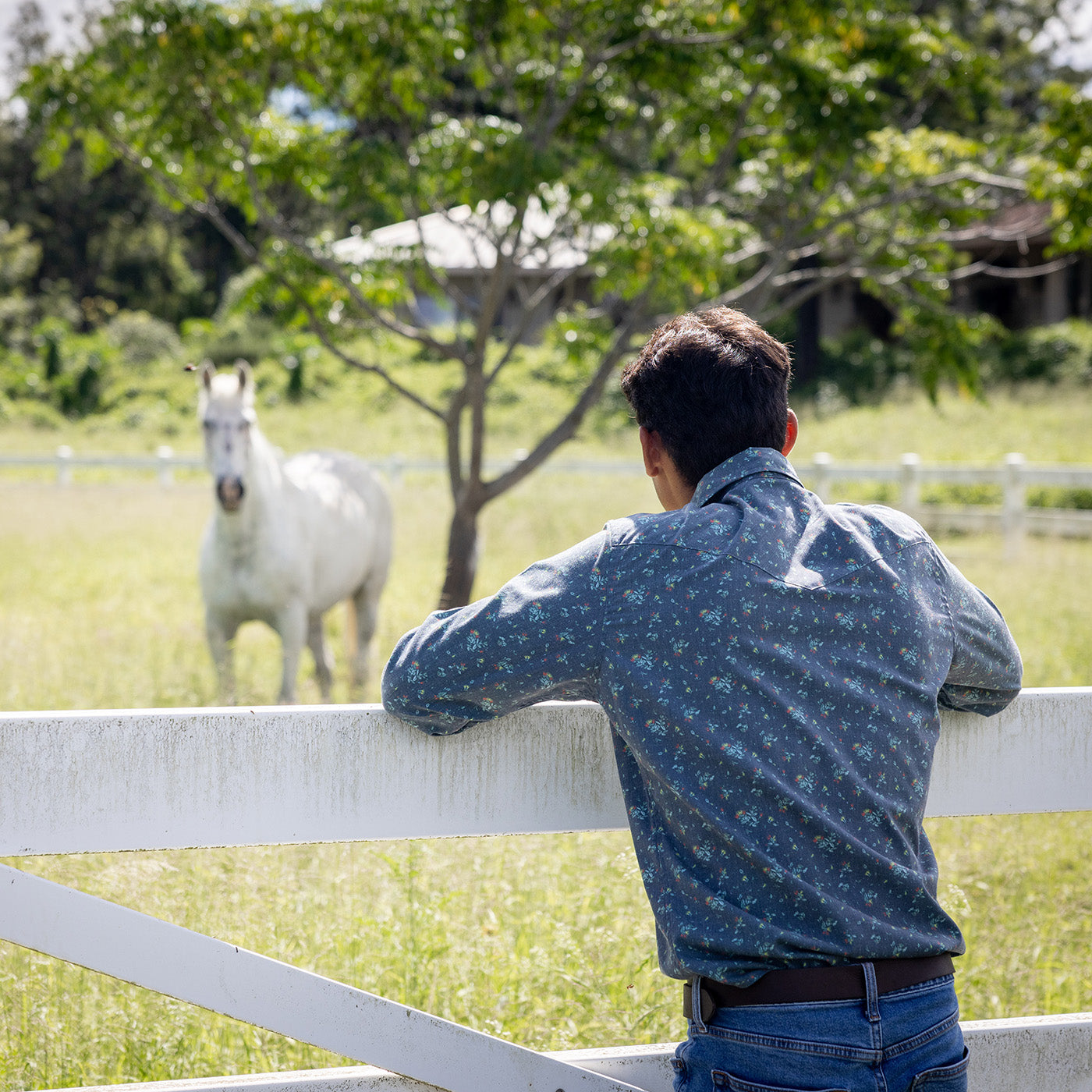 Ohia Western Paniolo Shirt