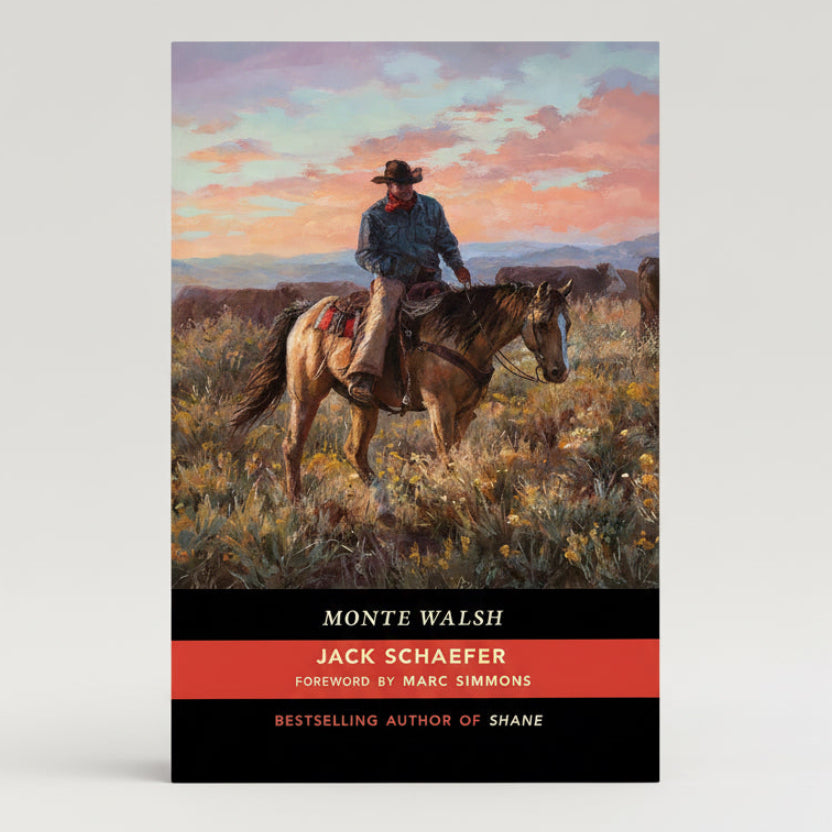 Book cover featuring a cowboy on a horse with a scenic background